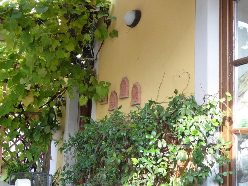 B&B Il Casale Di Nanni Lucca Dış mekan fotoğraf