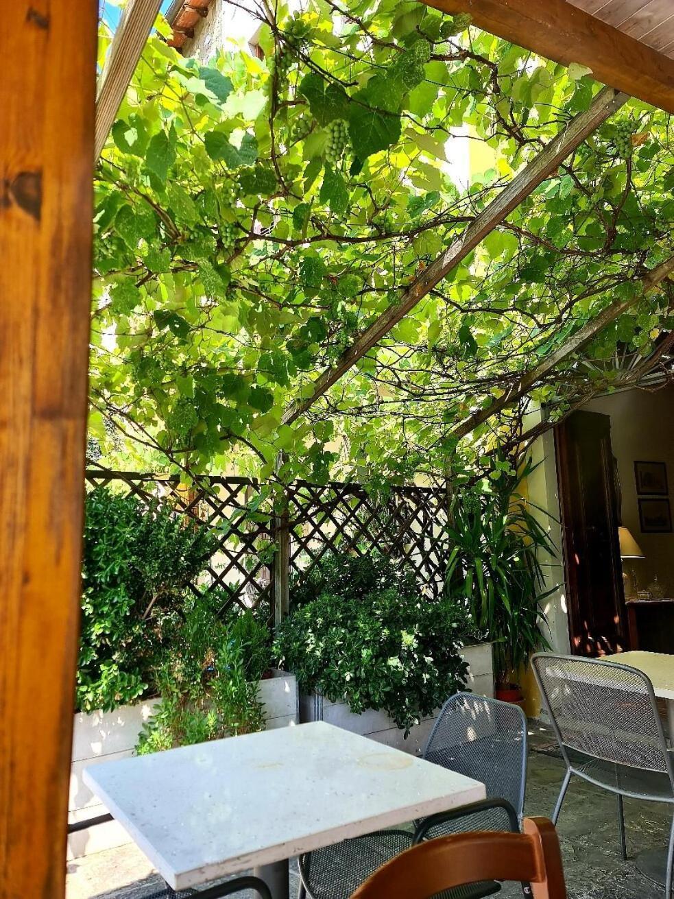 B&B Il Casale Di Nanni Lucca Dış mekan fotoğraf